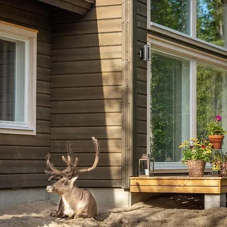 Foxfires Private Boutique 招待所 3*