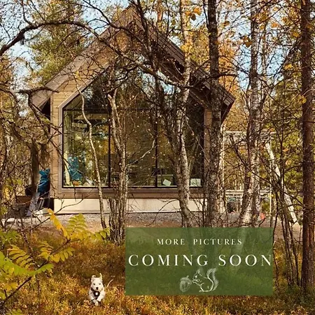 Foxfires Private Boutique 列维